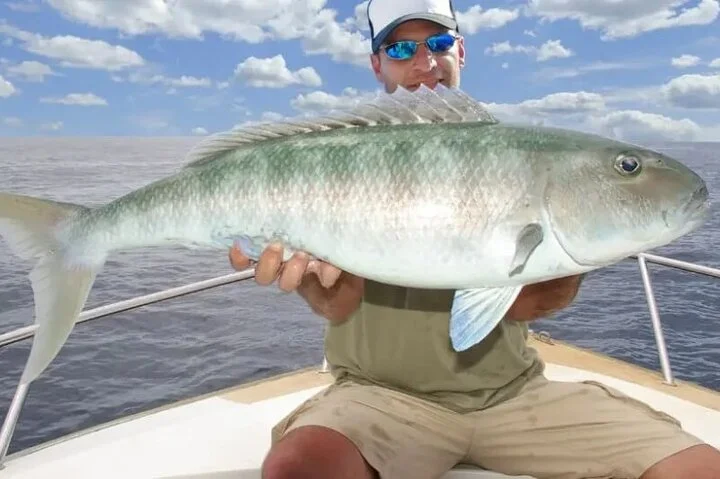 Private Deep Sea Fishing Trip with Professional Crew Dubai Marina