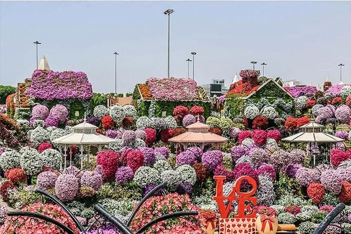 Private Dubai City Tour with Miracle Garden Ticket