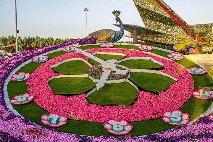 Private Dubai City Tour with Miracle Garden Ticket