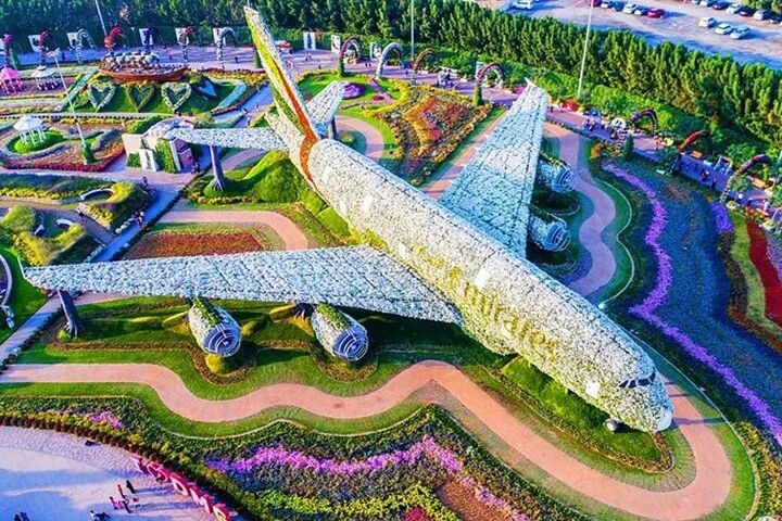 Private Dubai City Tour with Miracle Garden Ticket