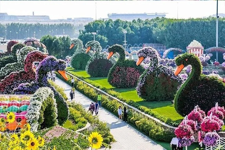 Private Dubai City Tour with Miracle Garden Ticket
