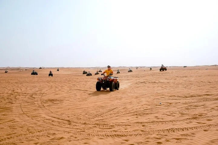 Private Dubai Day Tour: Multiple Options, Including Sharing