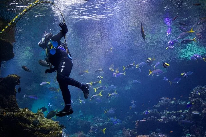 Private Dubai Day Tour: Multiple Options, Including Sharing