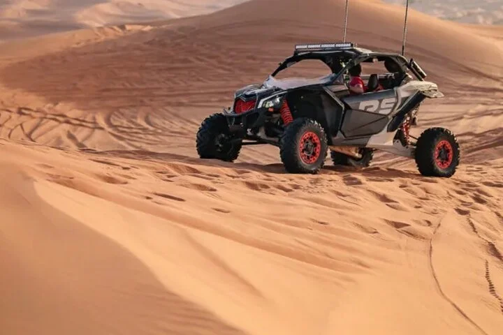 Private Dubai Desert Safari: Dune, Buggy & Camel