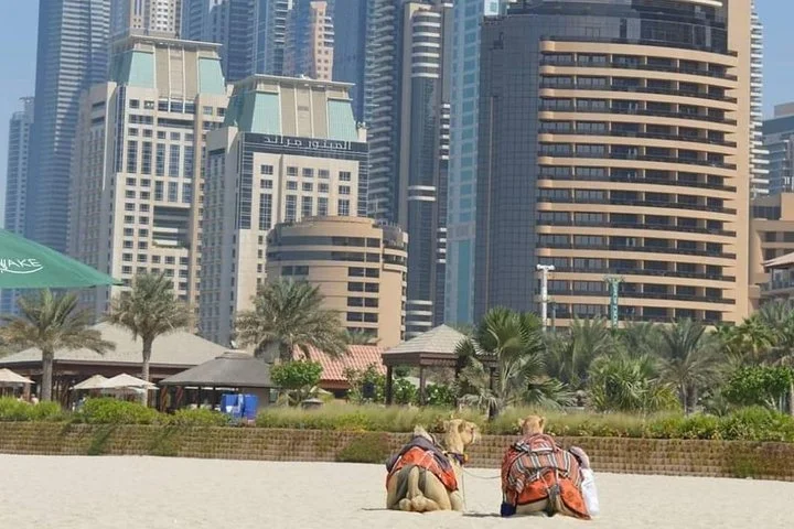 Private : Dubai Full Day City Sightseeing Tour