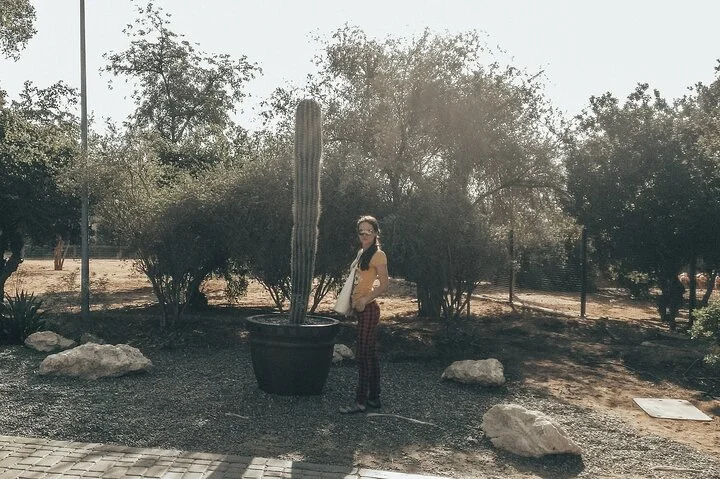 Private Dubai History and Culture Tour with Dubai Museum, Al Shindagha and Souks