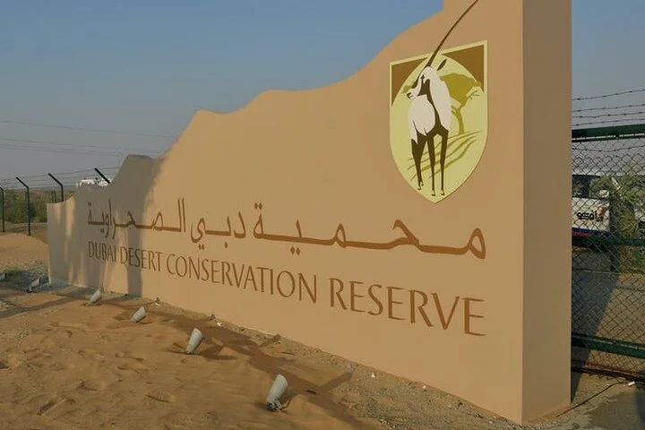 Private Dune Desert Safari with Dinner