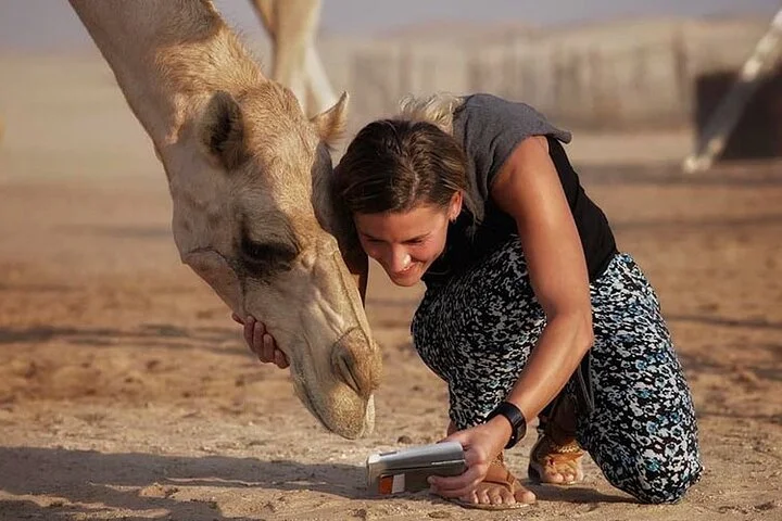 Private Evening Desert Safari Camel, Falcon & BBQ at Premium Camp