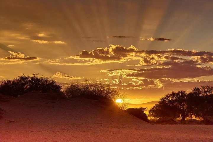 Private Evening Desert Safari with BBQ Dinner, Camel Ride And Sand Boarding