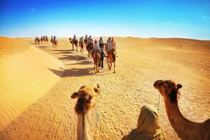 Private Evening Desert Safari with BBQ Dinner & Sand Boarding
