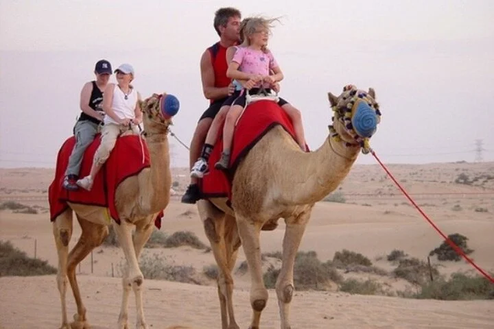 Private Evening Desert Safari with BBQ Dinner & Sand Boarding