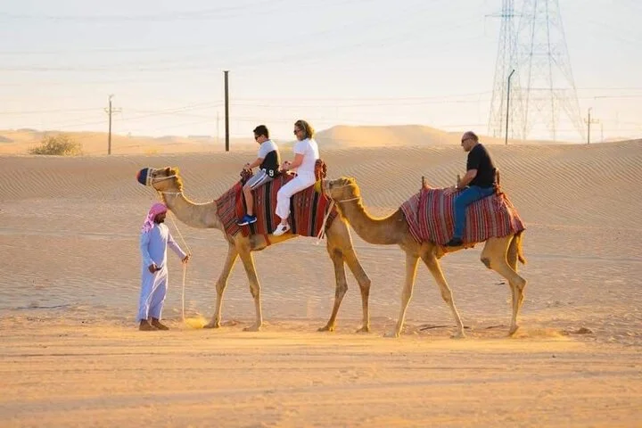 Private Evening Desert Safari with BBQ Dinner & Sand Boarding