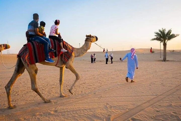 Private Evening Desert Safari with BBQ Dinner & Sand Boarding