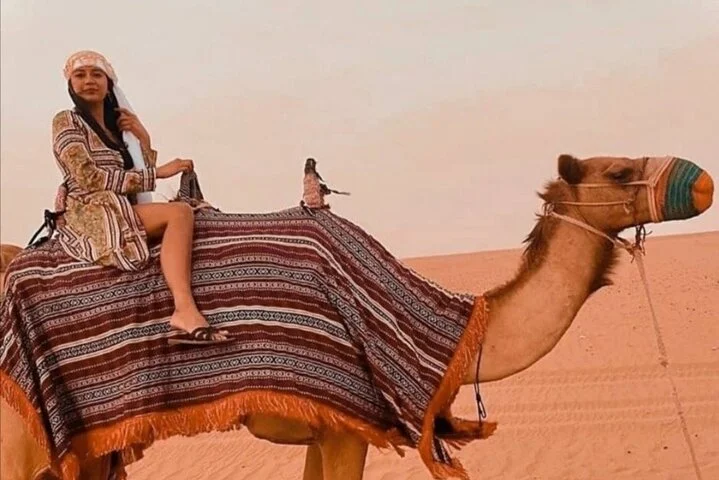 Private Evening Desert Safari with BBQ Dinner & Sand Boarding