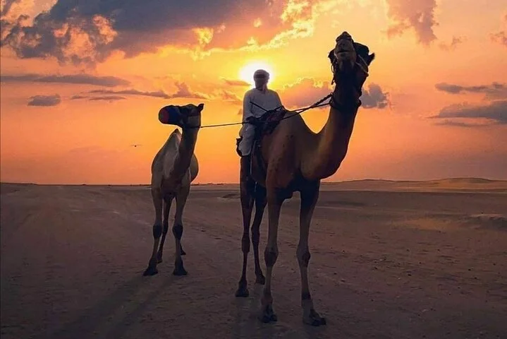 Private Evening Desert Safari with BBQ Dinner & Sand Boarding