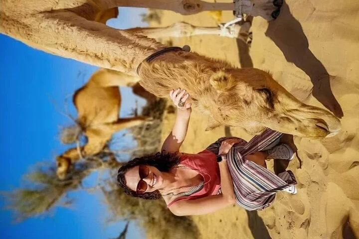 Private Evening Desert Safari with BBQ Dinner & Sand Boarding