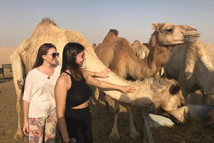 Private Full Day Liwa Desert Safari Tour with Lunch From Dubai