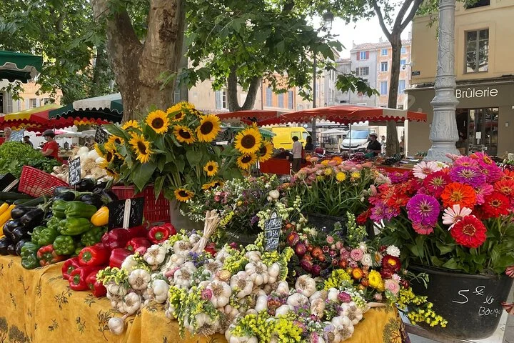 Private Full Day Wine Tour in Provence From Marseille cruise port