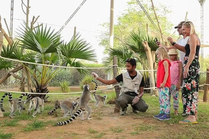 Private Garden City Tour with Zoo Ticket at Al Ain