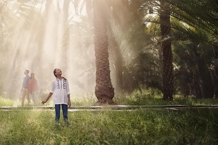 Private Garden City Tour with Zoo Ticket at Al Ain