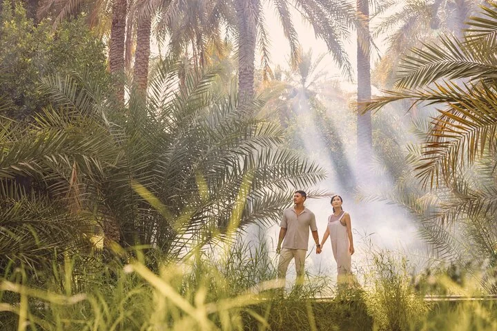 Private Garden City Tour with Zoo Ticket at Al Ain