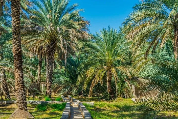 Private Garden City Tour with Zoo Ticket at Al Ain