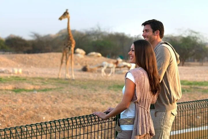 Private Garden City Tour with Zoo Ticket at Al Ain