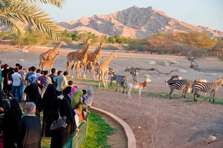 Private Garden City Tour with Zoo Ticket at Al Ain