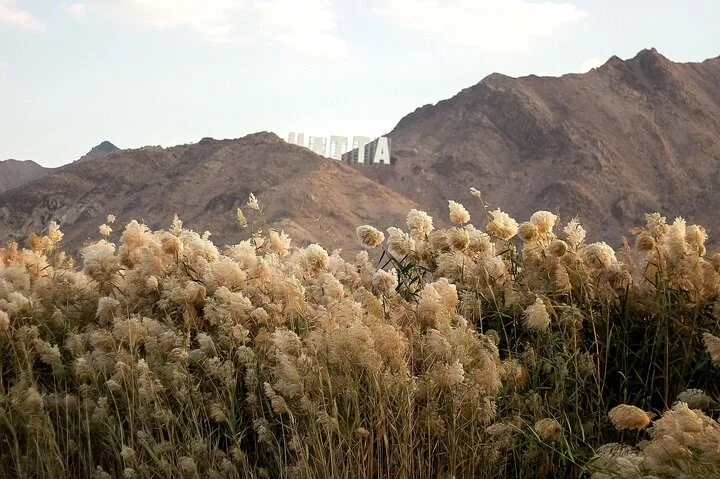 Private Hatta Mountain Tour from Dubai with Scenic Stops&Kayaking