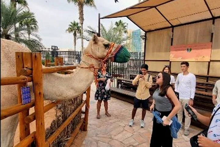 PRIVATE Local Food Tour and Guided Walking Tour of Dubai Old Town