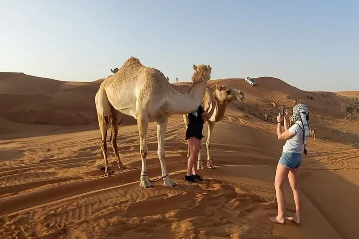 Private Morning Desert Safari Dubai with Dune Bashing & Sandboard