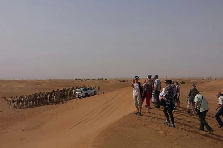 Private Morning Desert Safari From Dubai