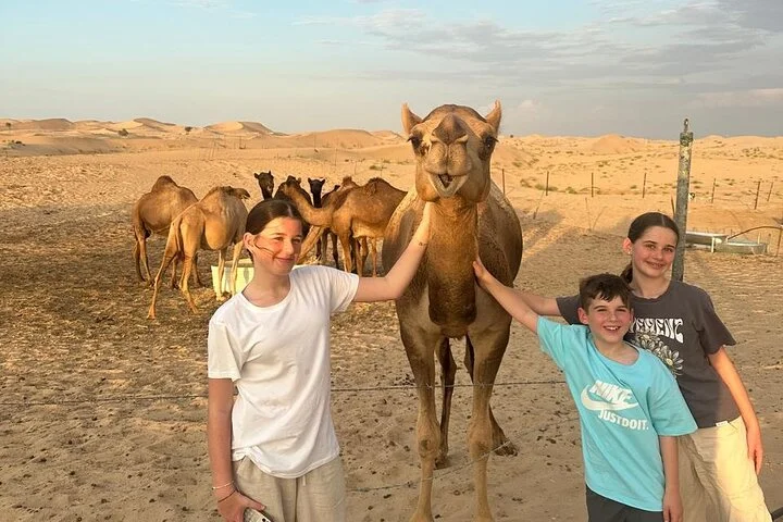 Private Morning Desert Safari with Camel Ride Falcon Photos