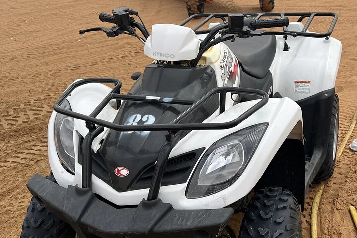 Private Morning Desert Safari with Camel Ride Falcon Photos