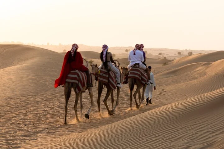 Private Morning Safari with Camel Ride and Sand boarding