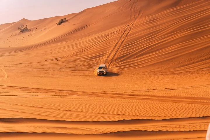 Private Premium Dubai Evening Dune Bashing With Live BBQ