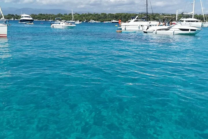 Private sailing excursion & Provencal picnic