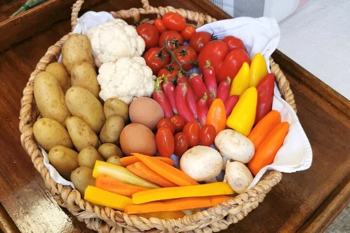 Private sailing excursion & Provencal picnic