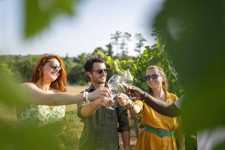 Provence Wine Tour - Private Day Tour from Cannes