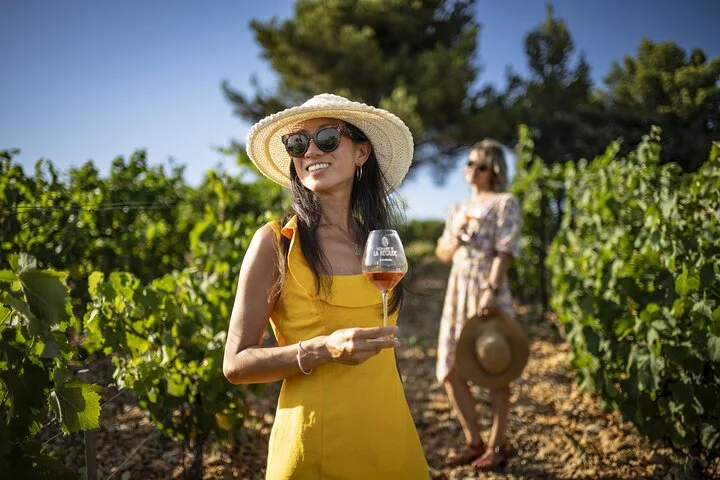 Provence Wine Tour - Private Day Tour from Cannes