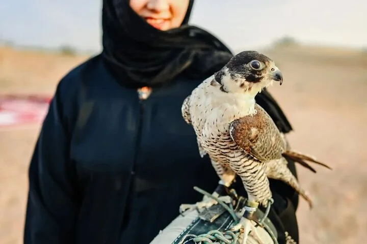 Quad Biking Dubai With Desert Safari Dune Bashing Camel Ride