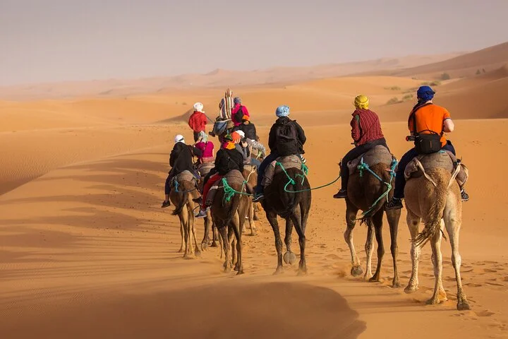 Red Dune Desert Safari Tour with Camel Ride & BBQ Experience