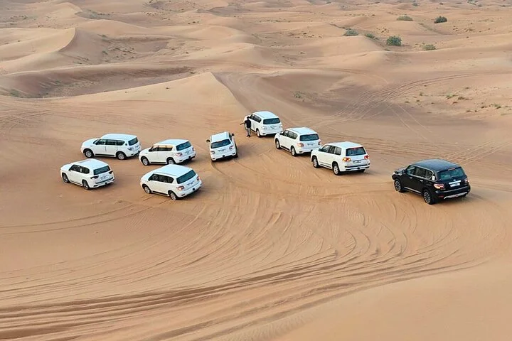 Red Dune Desert Safari Tour with Camel Ride & BBQ Experience