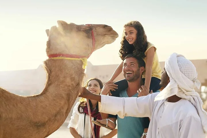 Red Dune Desert Safari with BBQ Dinner, Camel Ride & Live Shows