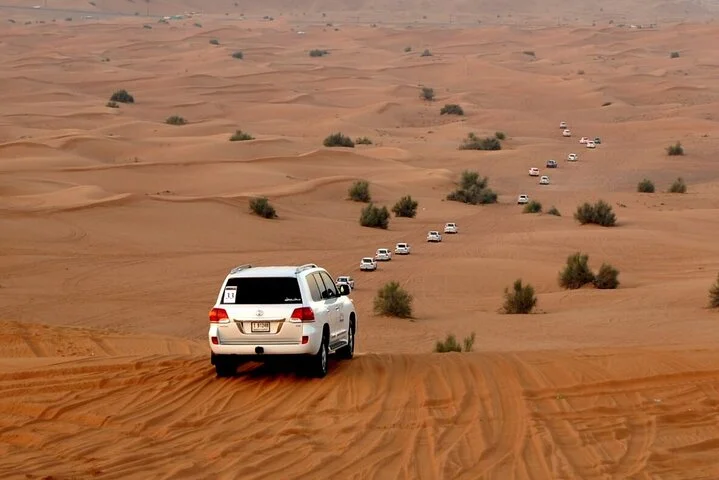 Red Dune Evening Desert Safari with Sandbashing and BBQ Dinner