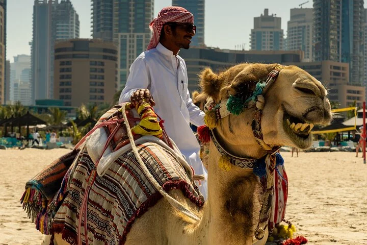 Red Dunes Quad Bike Safari, Sand surf, Camels and BBQ