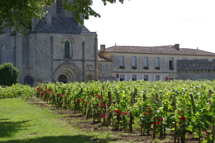 Saint-Emilion Private Full Day Wine Tour from Bordeaux