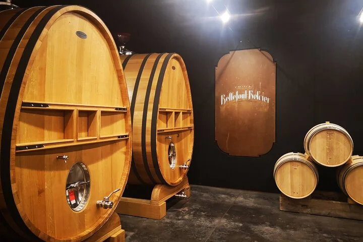 Saint-Emilion Private Full Day Wine Tour from Bordeaux