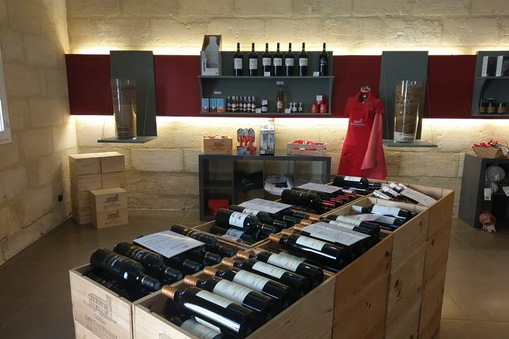 Saint-Emilion Private Full Day Wine Tour from Bordeaux