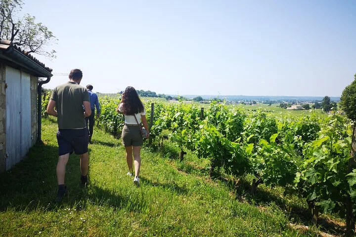 Saint-Emilion Private Full Day Wine Tour from Bordeaux